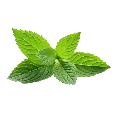 Mint