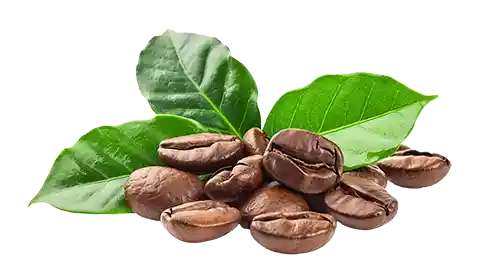 Caffeine