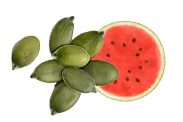 L-Citrulline + L‑Arginine